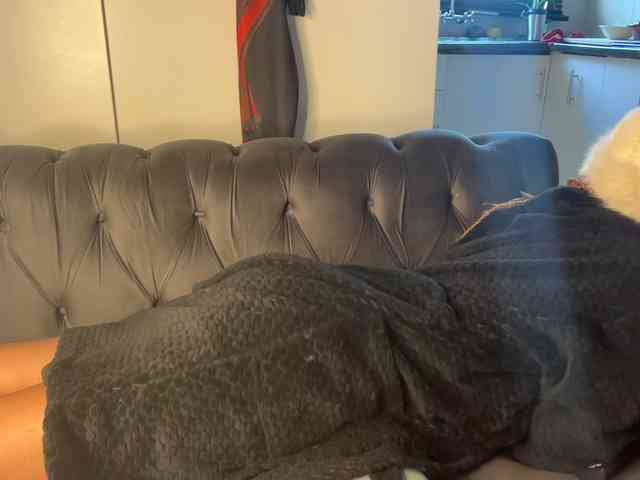 SexyBaddie Live Webcam on BongaCams