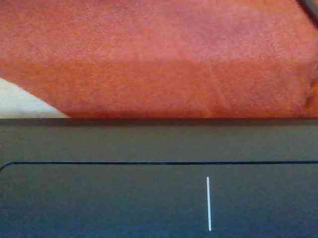 CherryCoco webcam