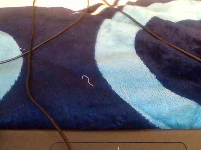CherryCoco webcam