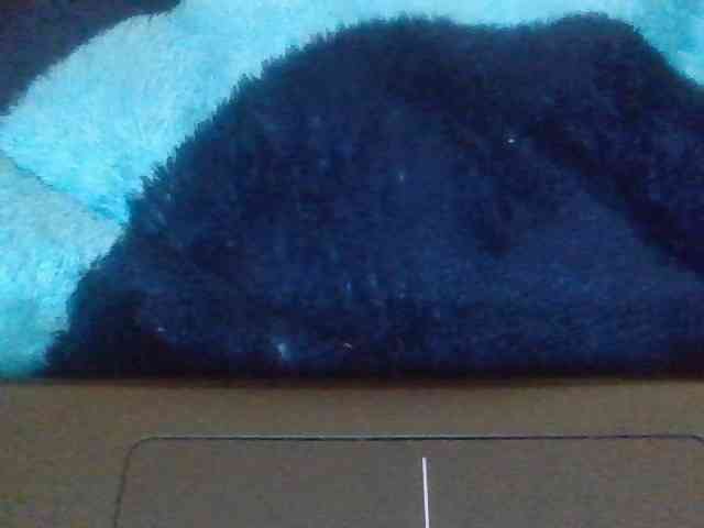CherryCoco webcam