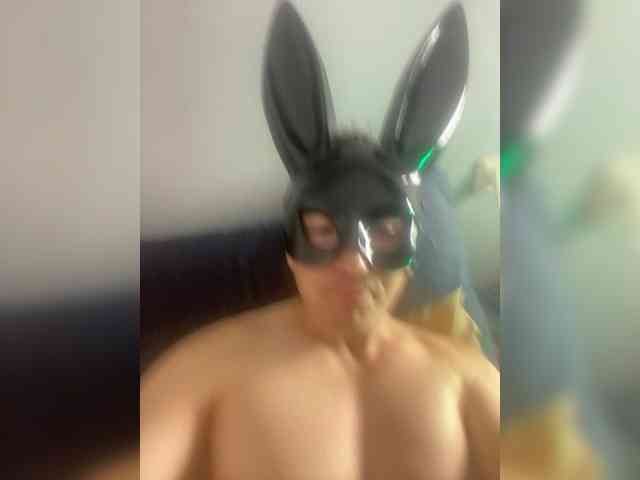 LODUR-kisa webcam