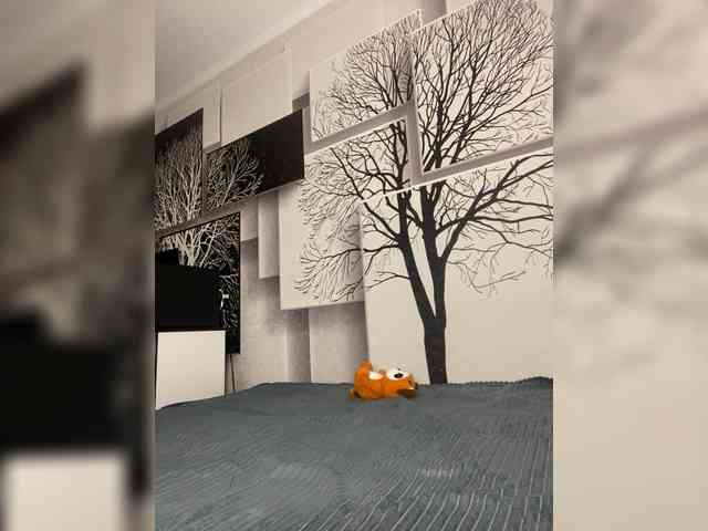 LODUR-kisa webcam