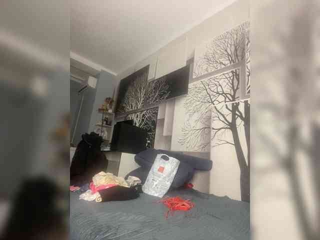 LODUR-kisa webcam