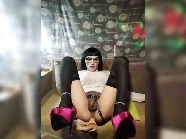 Gayana1212