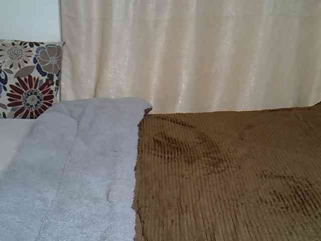 PetiteCaramel webcam