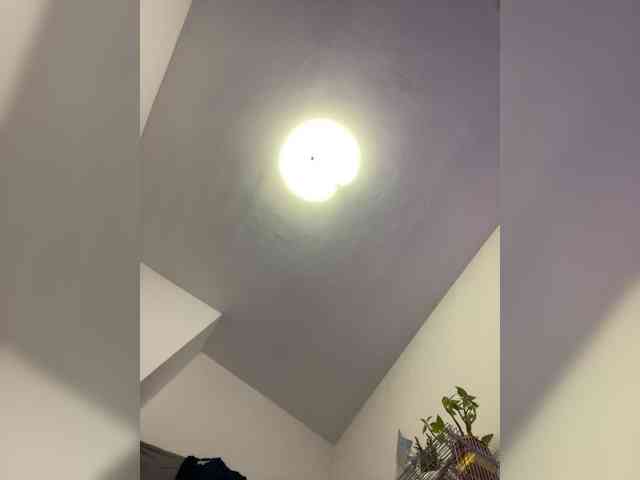 AlissaLexx Live Webcam on BongaCams