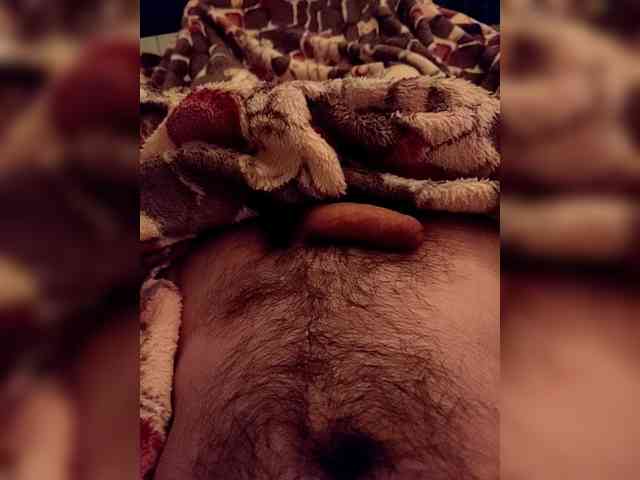 123DAMir