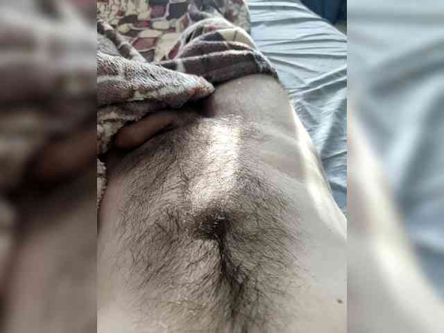 123DAMir