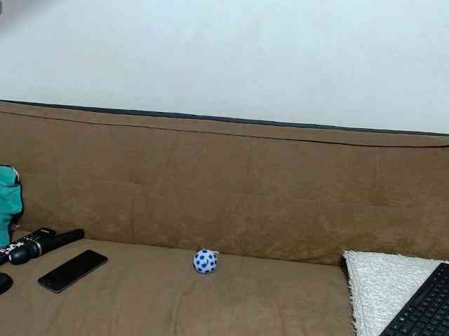 kassandra6 kassandra6