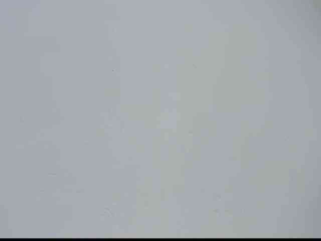 Maddy-Stone webcam