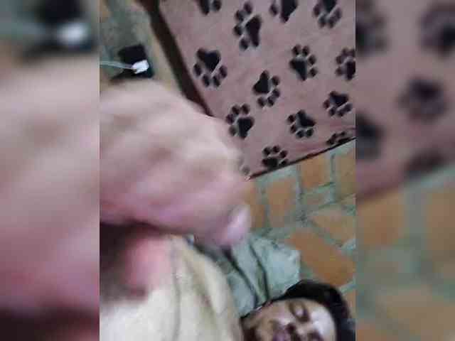 Orlandocind Orlandocind