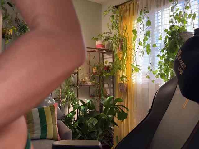 sunnie-dayz webcam