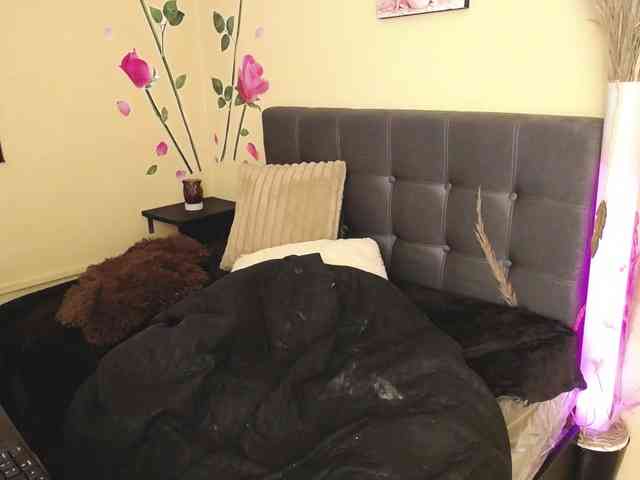 BrendaRojas BrendaRojas