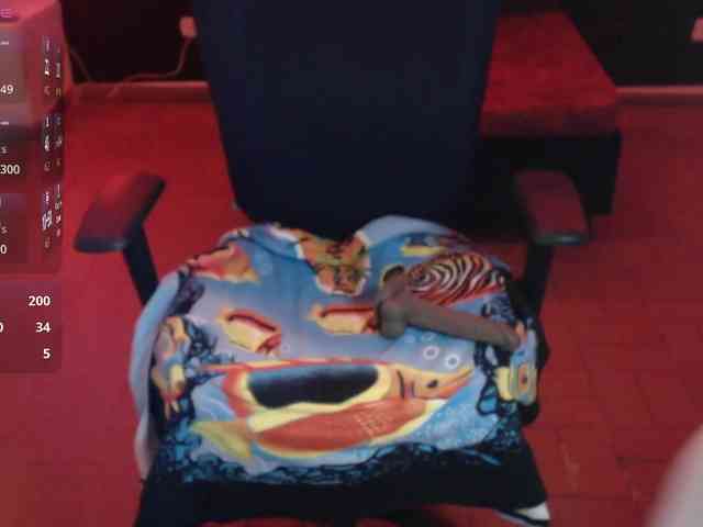 cristal-hills-19 webcam