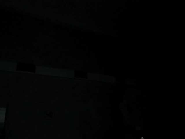 DorothyVegga on BongaCams