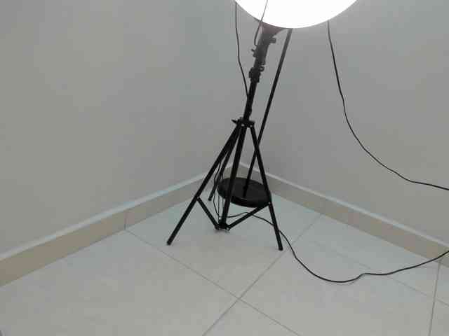 DorothyVegga webcam