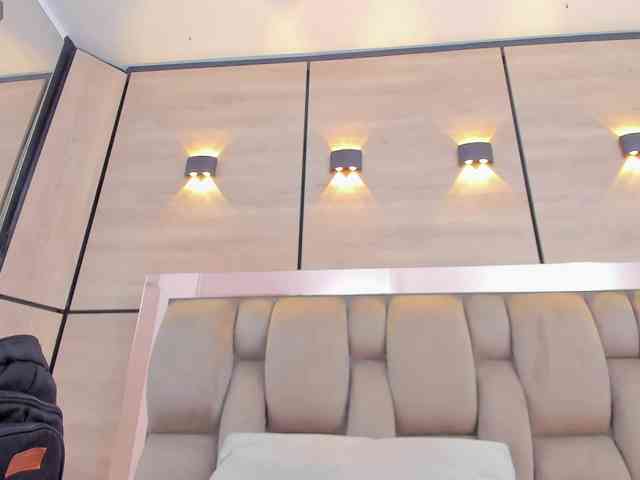 DorothyVegga DorothyVegga