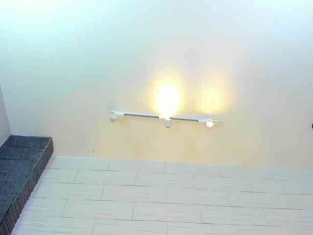 DorothyVegga DorothyVegga