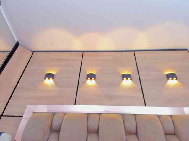 DorothyVegga DorothyVegga