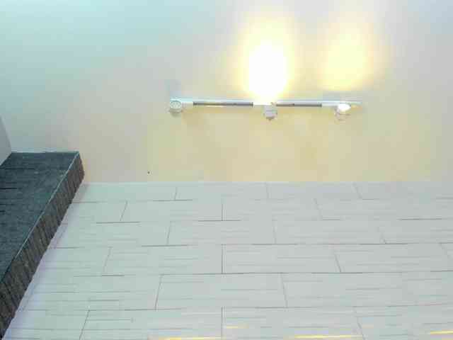 DorothyVegga DorothyVegga