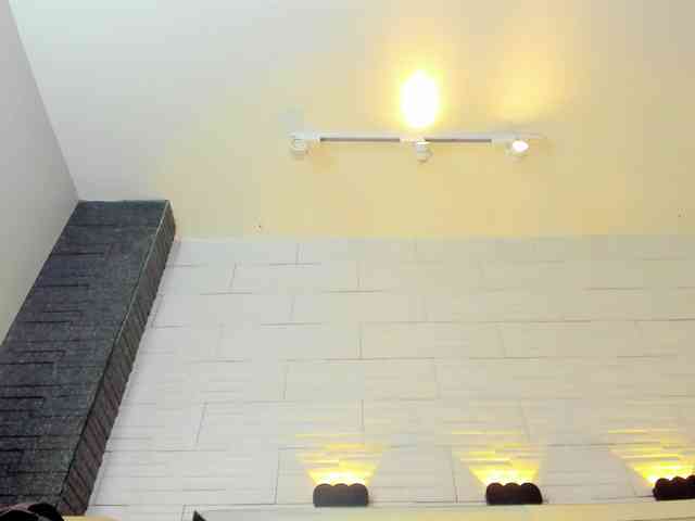 DorothyVegga DorothyVegga