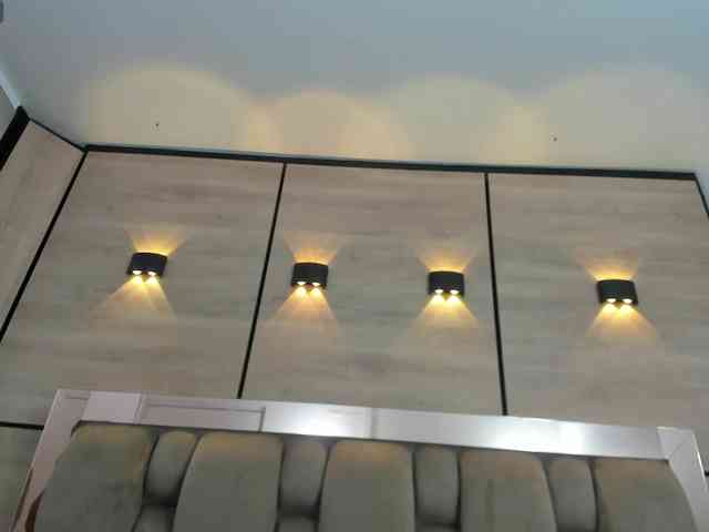 DorothyVegga DorothyVegga