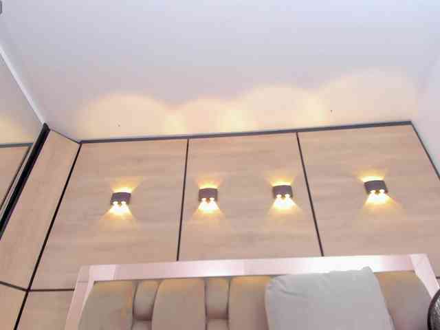 DorothyVegga DorothyVegga