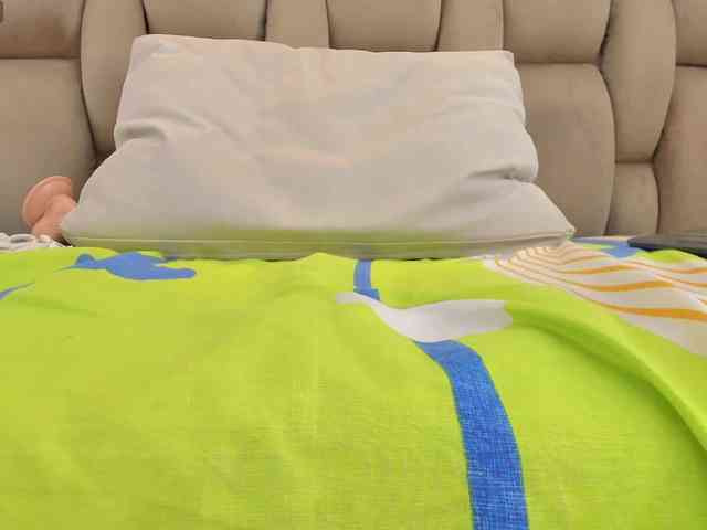 DorothyVegga DorothyVegga