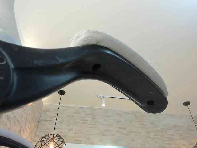 DorothyVegga DorothyVegga