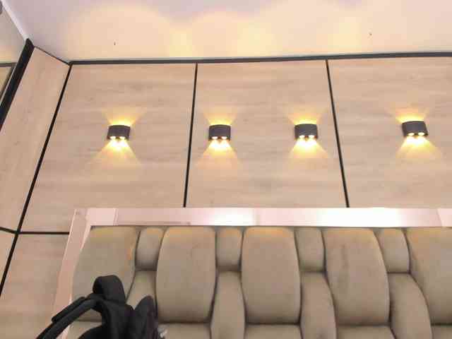 DorothyVegga DorothyVegga