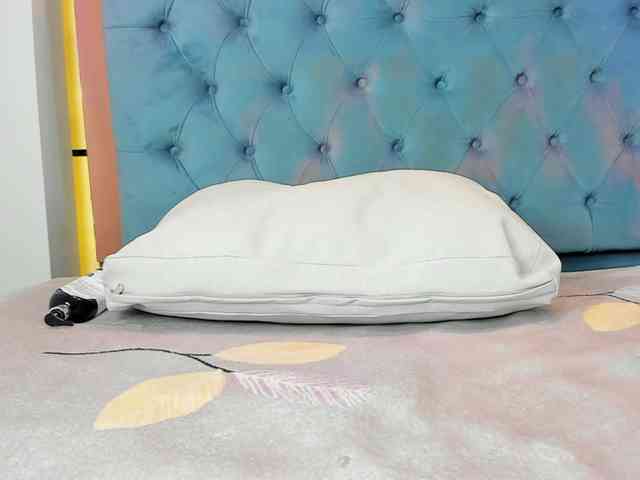 PocahontasPow webcam