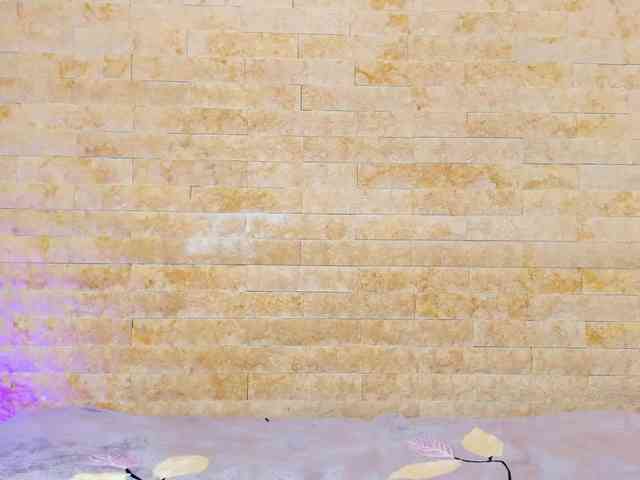 PocahontasPow webcam