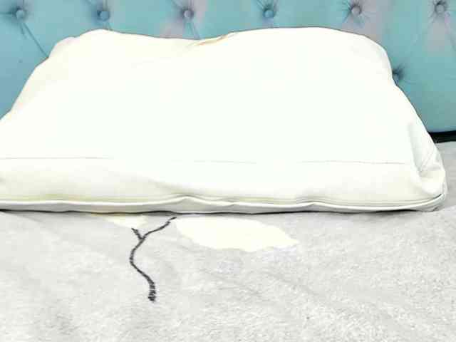 PocahontasPow webcam