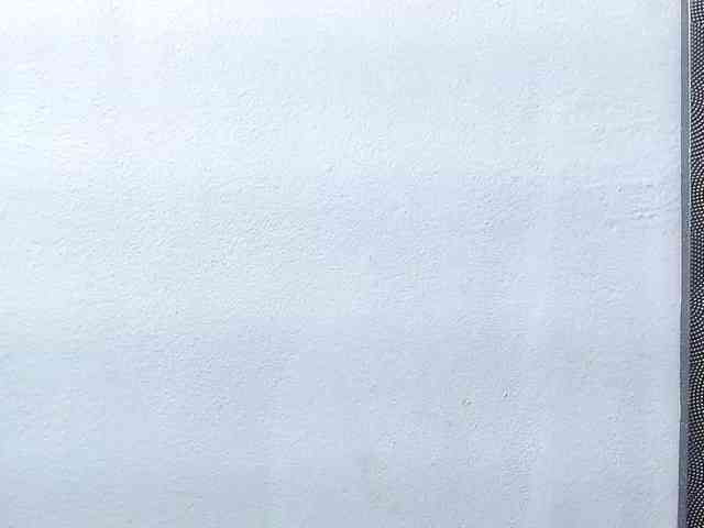 IrisCole webcam