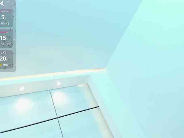 LisRous webcam