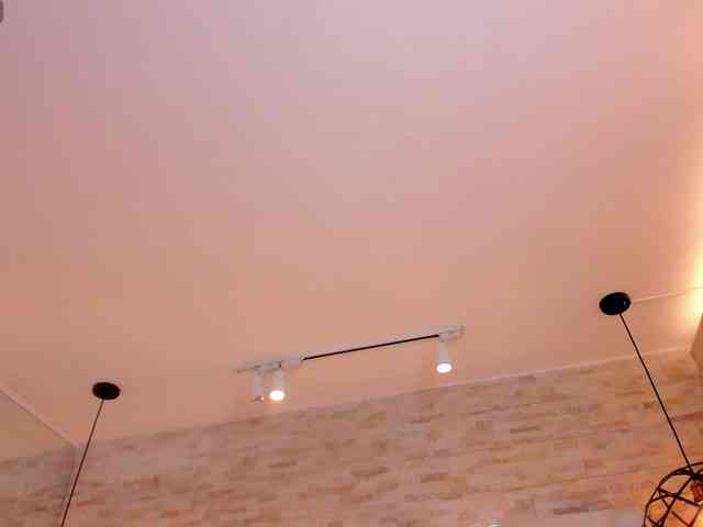 CeleneMidnight CeleneMidnight