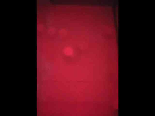 Cobra500bhp Cobra500bhp