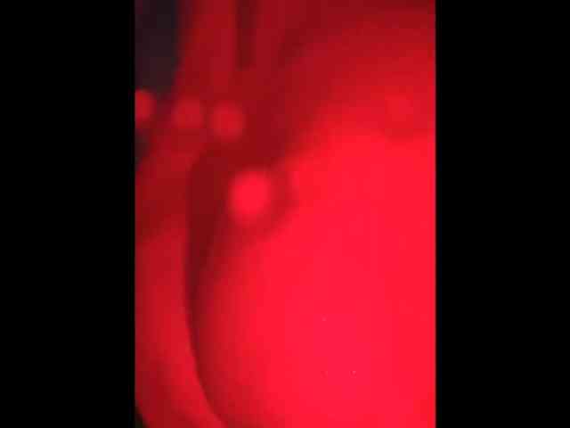 Cobra500bhp Cobra500bhp