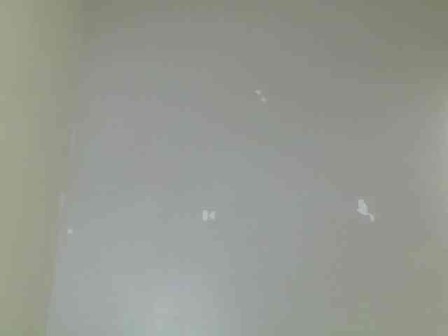 Petitegoddess Petitegoddess