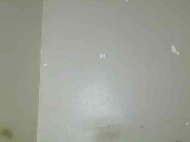 Petitegoddess Petitegoddess