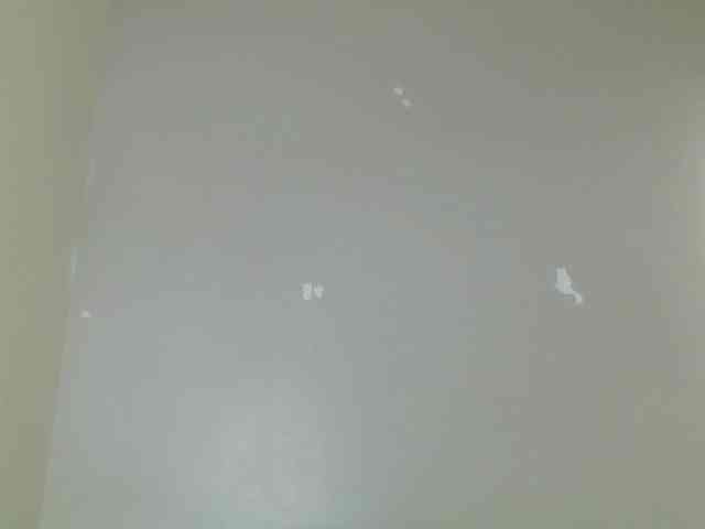 Petitegoddess Petitegoddess