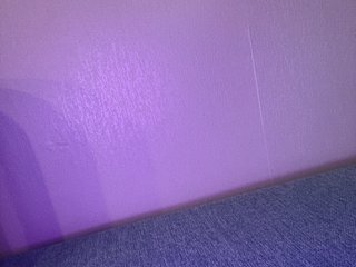 Andgellb Porn Show