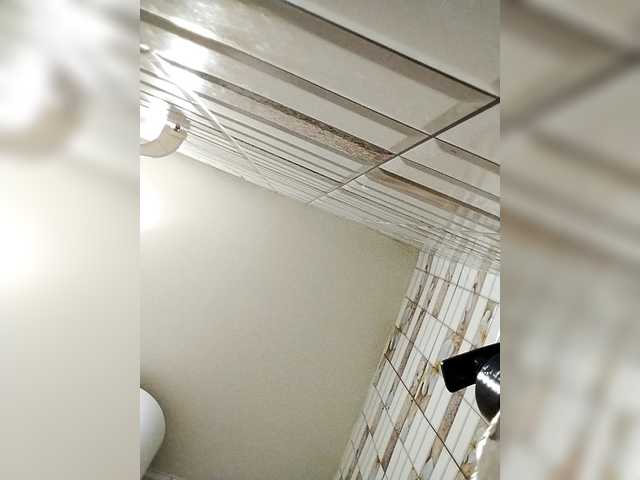 Neisi's BongaCams show and profile