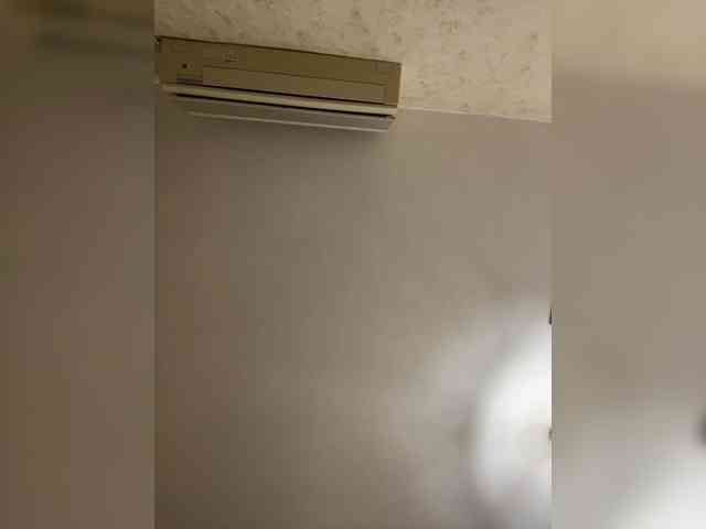 Neisi webcam