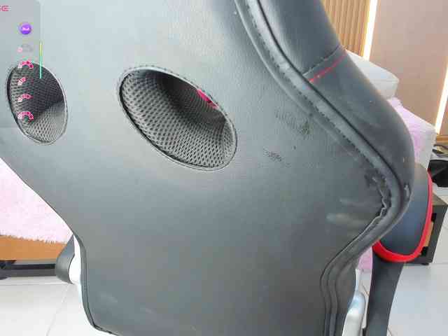 StephanySummer StephanySummer