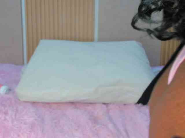 StephanySummer webcam