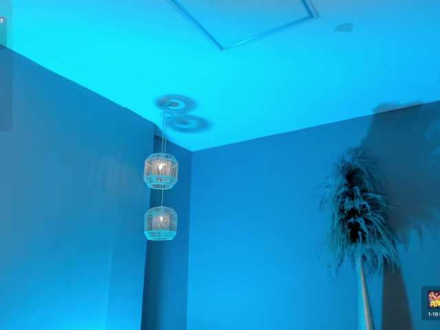 KylieJenkins's BongaCams show and profile