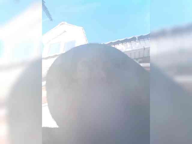 AnnaVictoriaa webcam