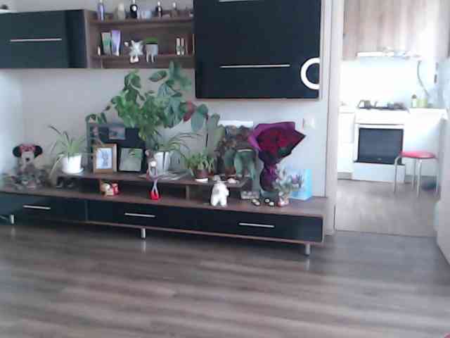 SophiaBonne SophiaBonne