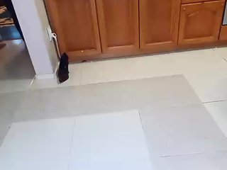 doktorgirl Porn Show